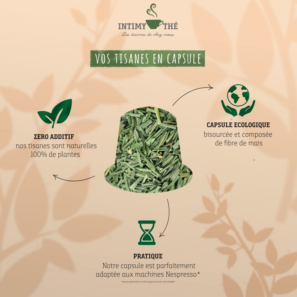 CAPSULE DUO CITRONNELLE/ KINKELIBA